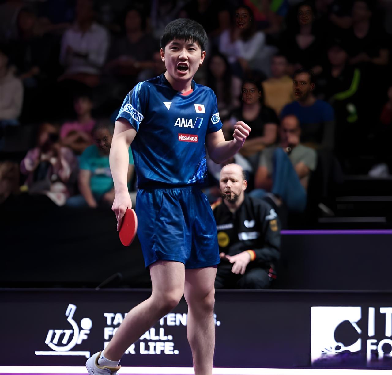 开云体育官网-法国乒乓球队完胜波兰乒乓球队，张本智和惊艳世界