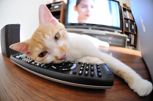 时空裂隙中的90分钟，当拜仁力克荷兰，阿什拉夫点燃的不仅是赛场