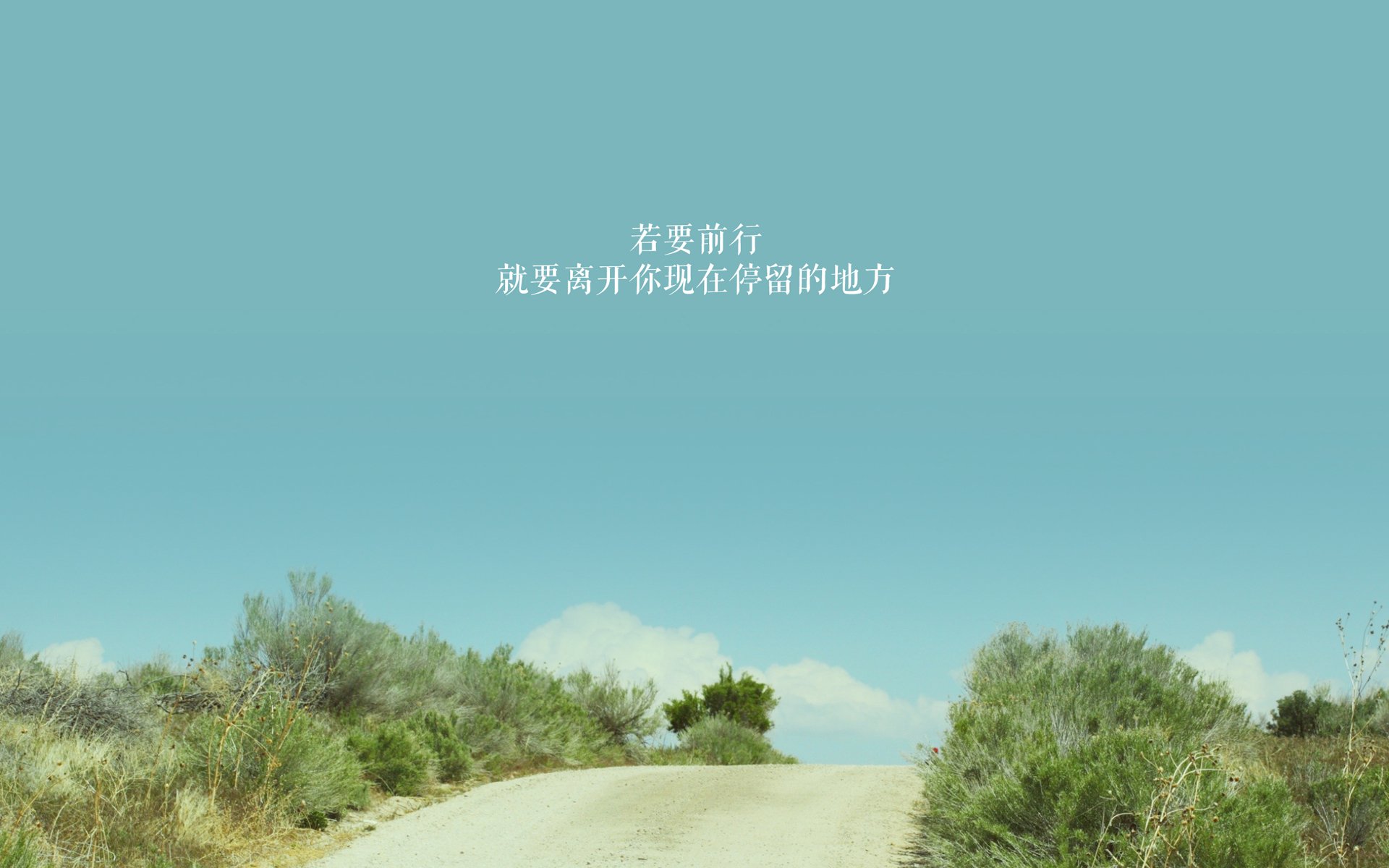 奇迹的双子星，冷门如何书写体育史诗