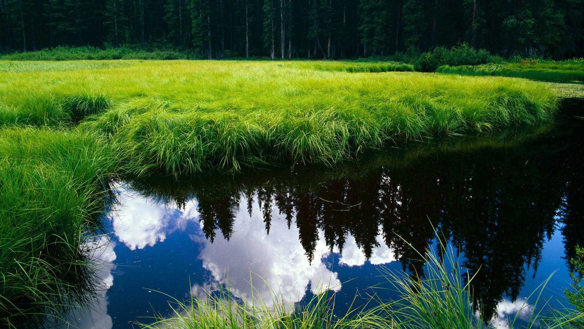 当张继科扛起全队时，韩国足球掀翻战车