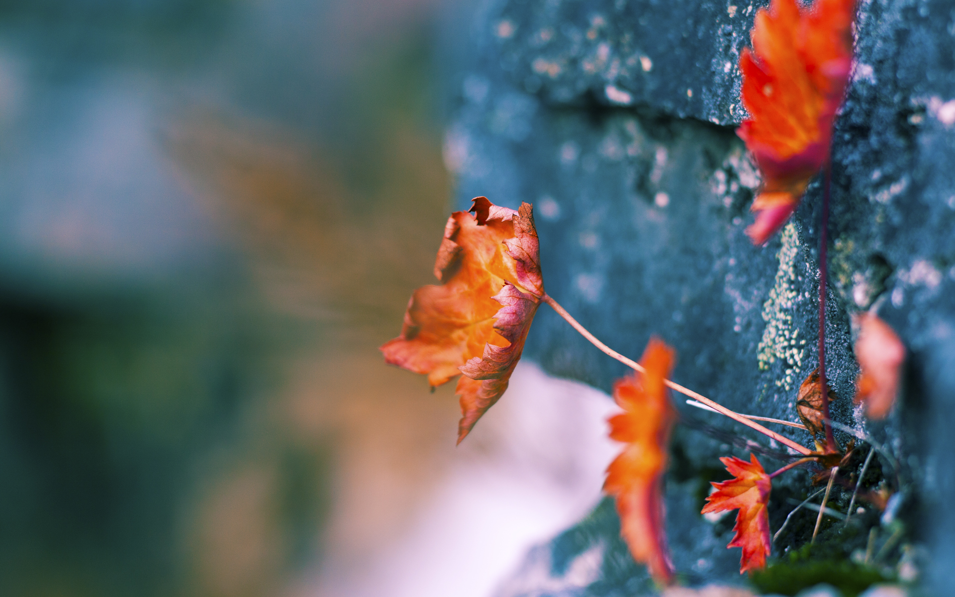慈善赛的血案，瑞士素人逆袭切尔西传奇，姆巴佩单骑点亮最亮星辰