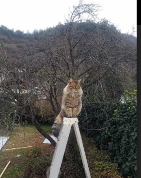 非典型的亚洲风暴,一场关键传球改写比赛,韩国轻取摩洛哥的战术密码