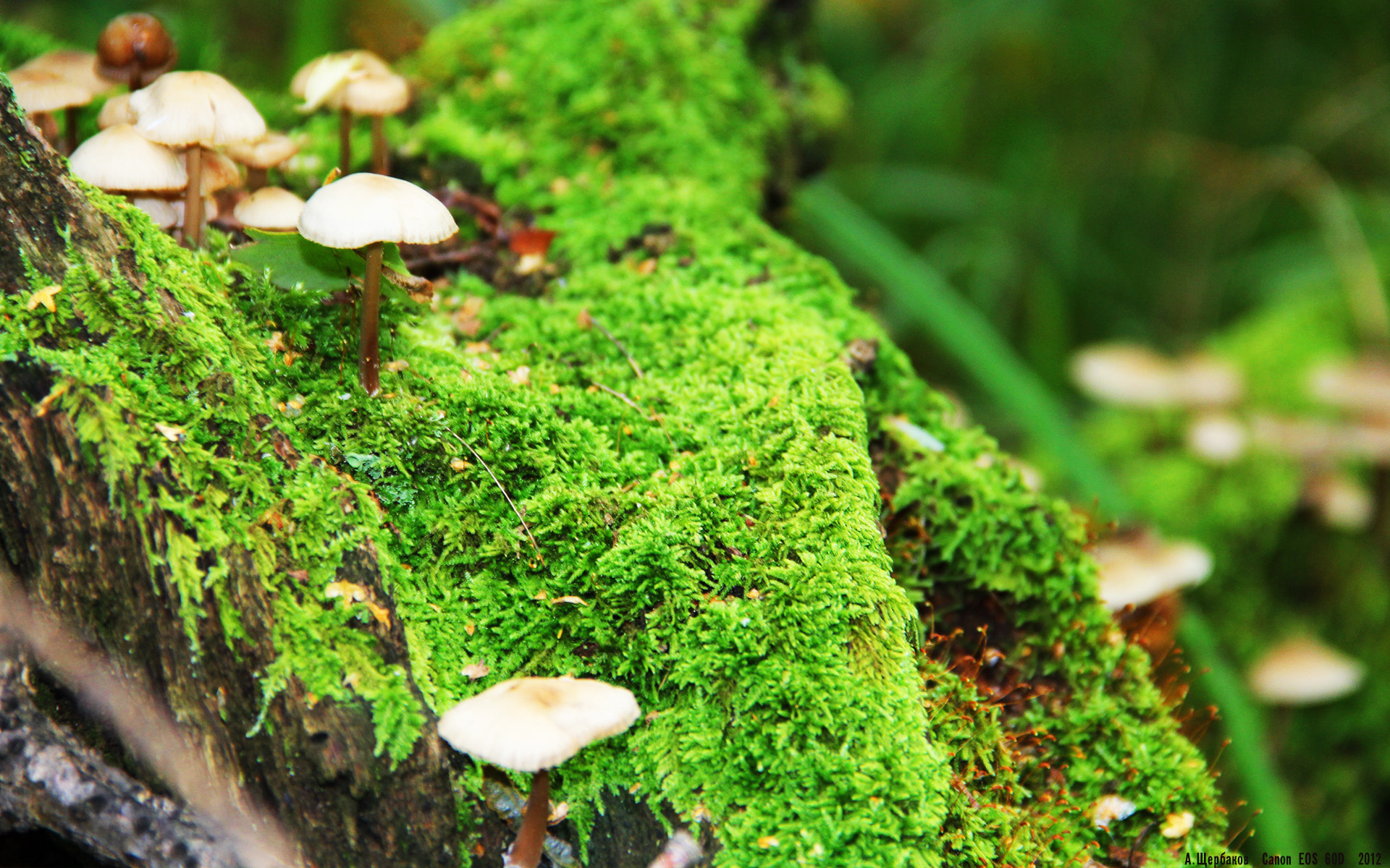 开云体育登录-赢球文化的胜利，从姆巴佩到富安健洋，伦敦与巴黎的共识