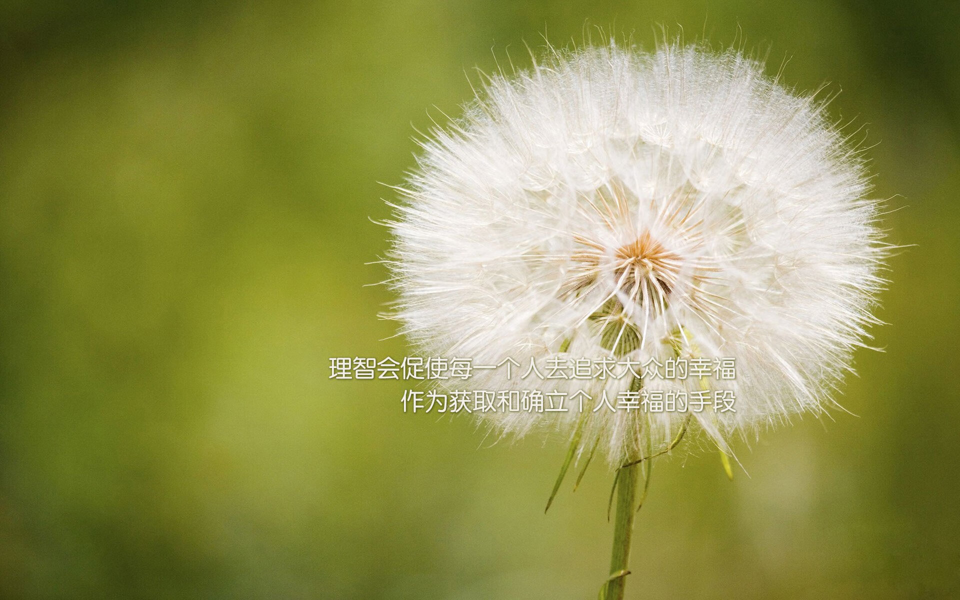 开云体育官网-冰山之下的火焰，哈登在东方赛场的压力破局之战