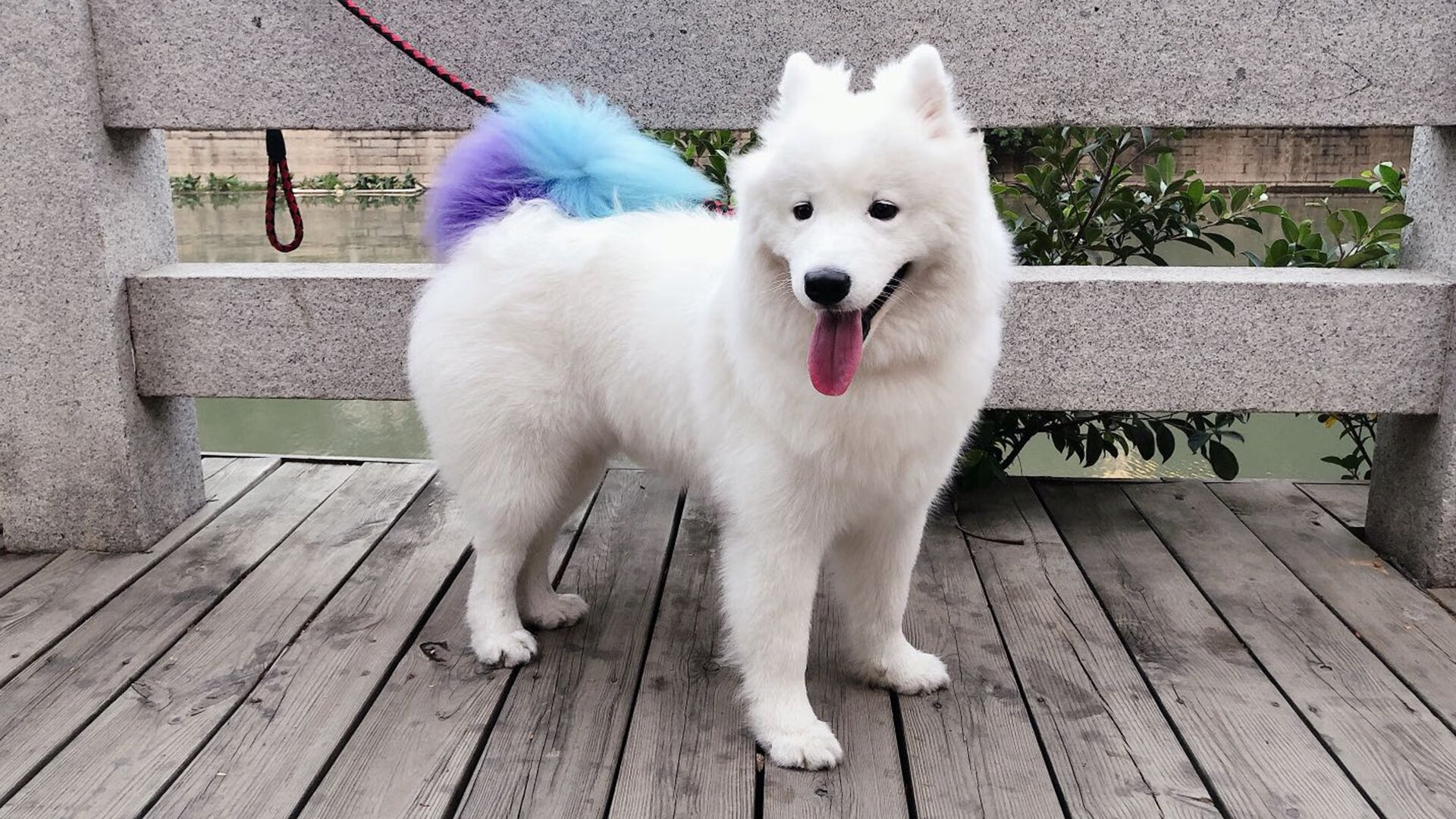 马克西1.9秒绝杀！热火惊魂一刻压哨逆转北京队