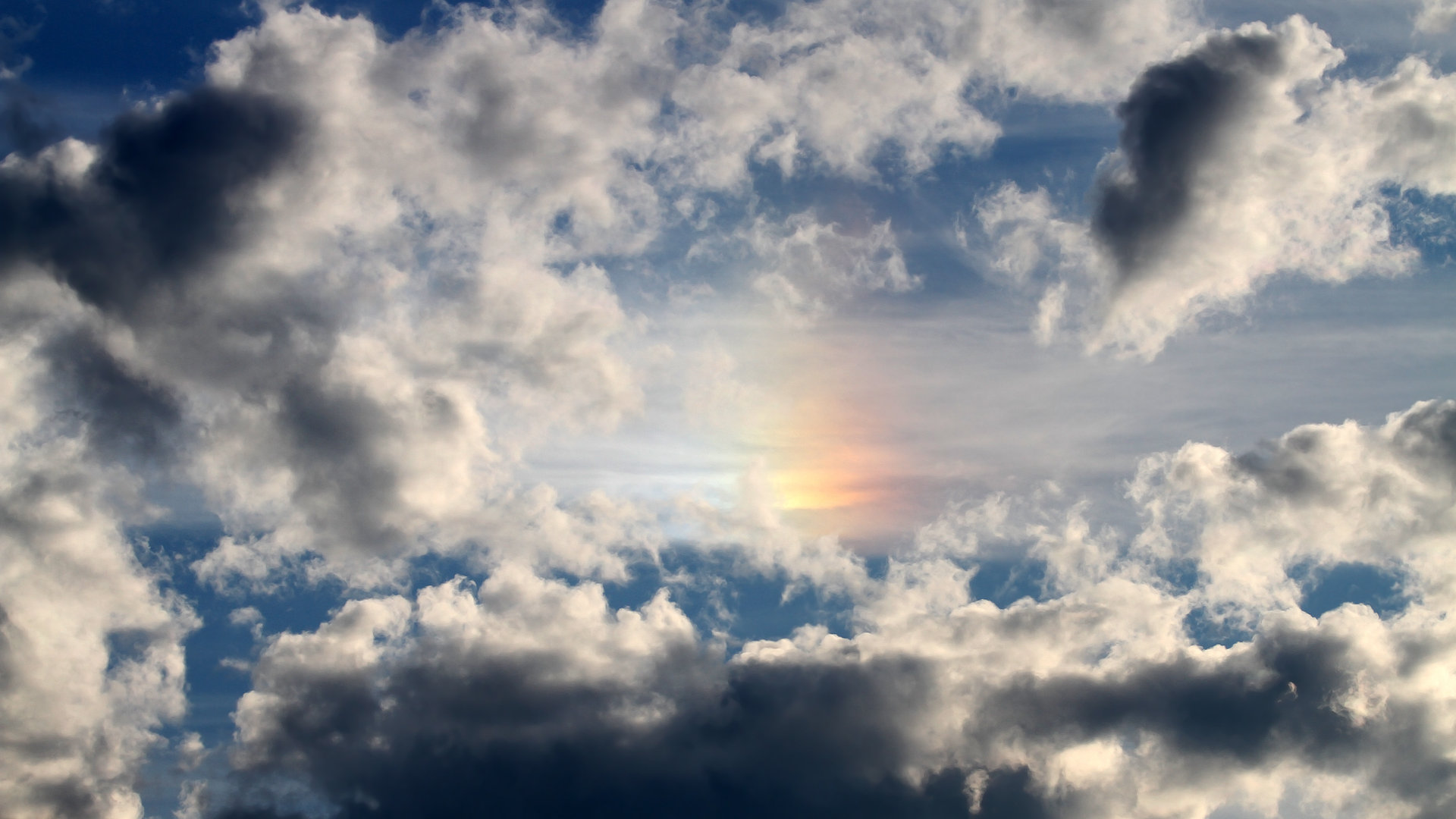 开云体育平台APP-撕裂夜幕的利刃，奥运前夜，米切尔用一场爆裂式征服划定新时代疆界