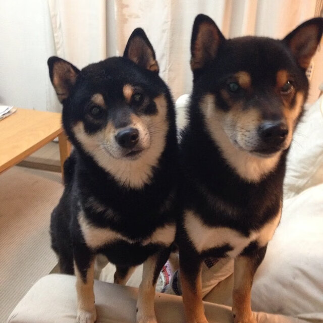 开云体育-虫洞对面的对决，爱德华兹如何在第三类篮球接触中统治攻防两端