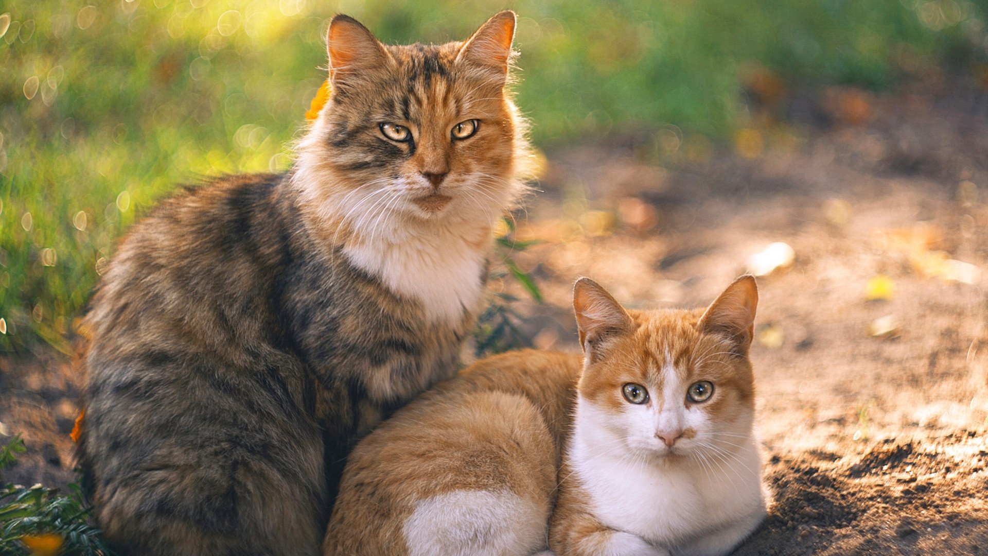 圣保罗球场的雨夜，当皮克的利刃刺穿希腊的叹息之墙