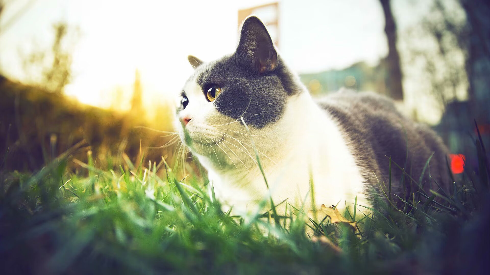 天使之翼的魔法，迪马利亚连续得分拉开差距，皇马客胜莱比锡红牛