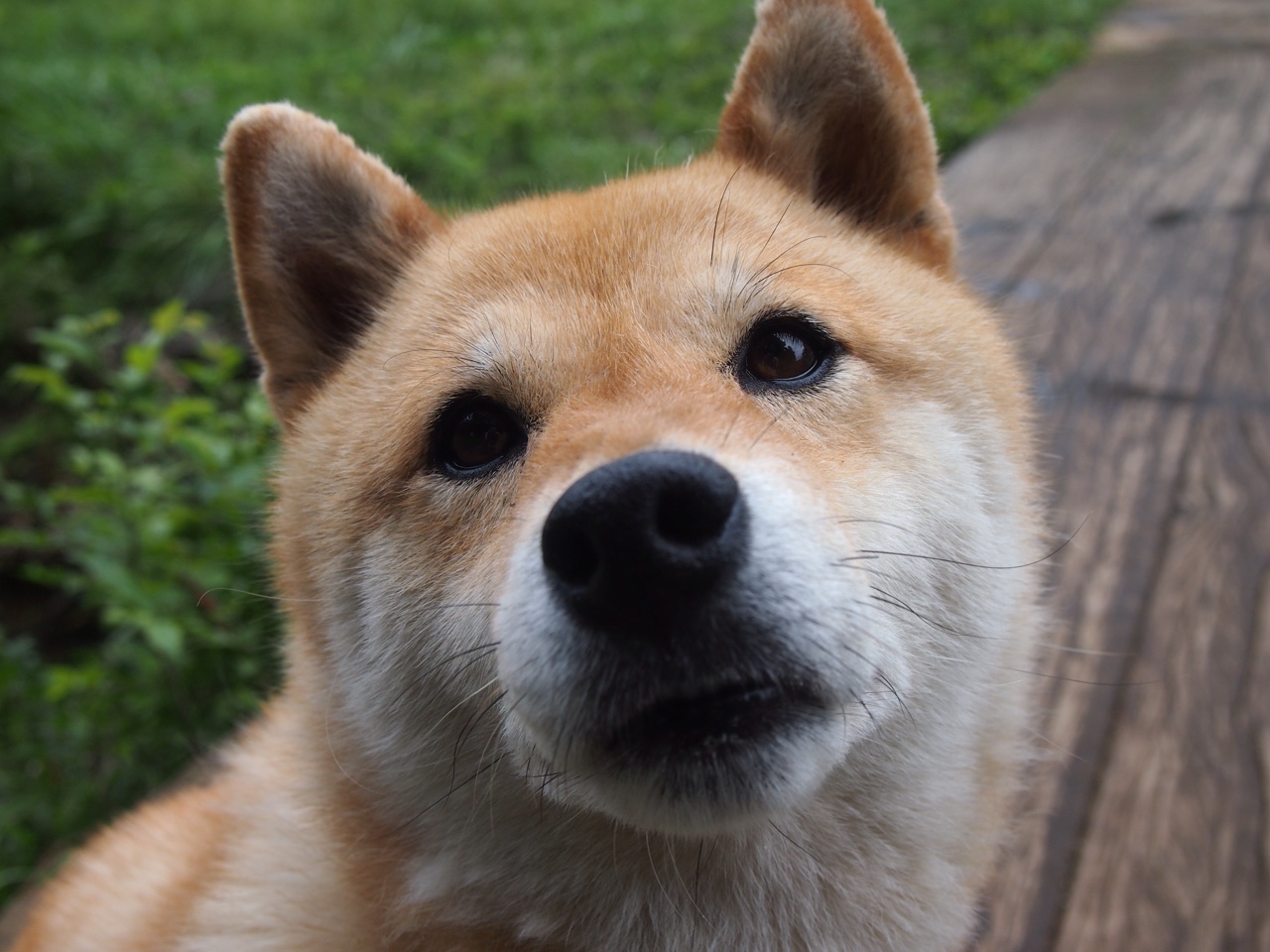 绝境重构，当杜兰特身披灰熊战袍成为关键先生