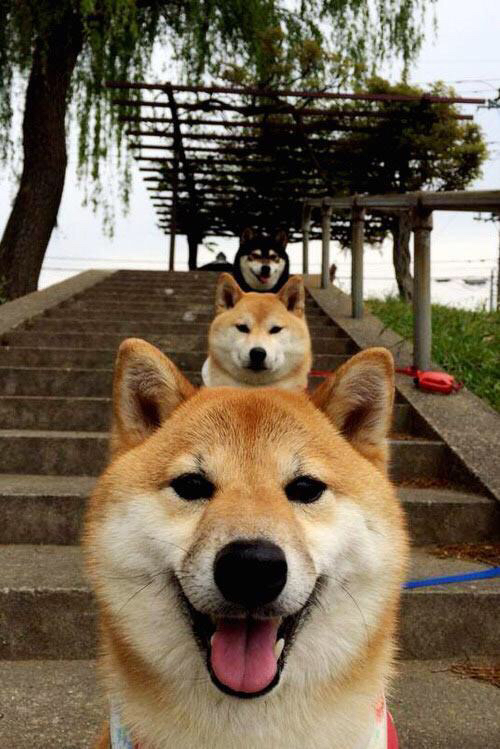 开云体育平台APP-绿茵烽火与篮下硝烟，跨越时空的竞技哲学对话