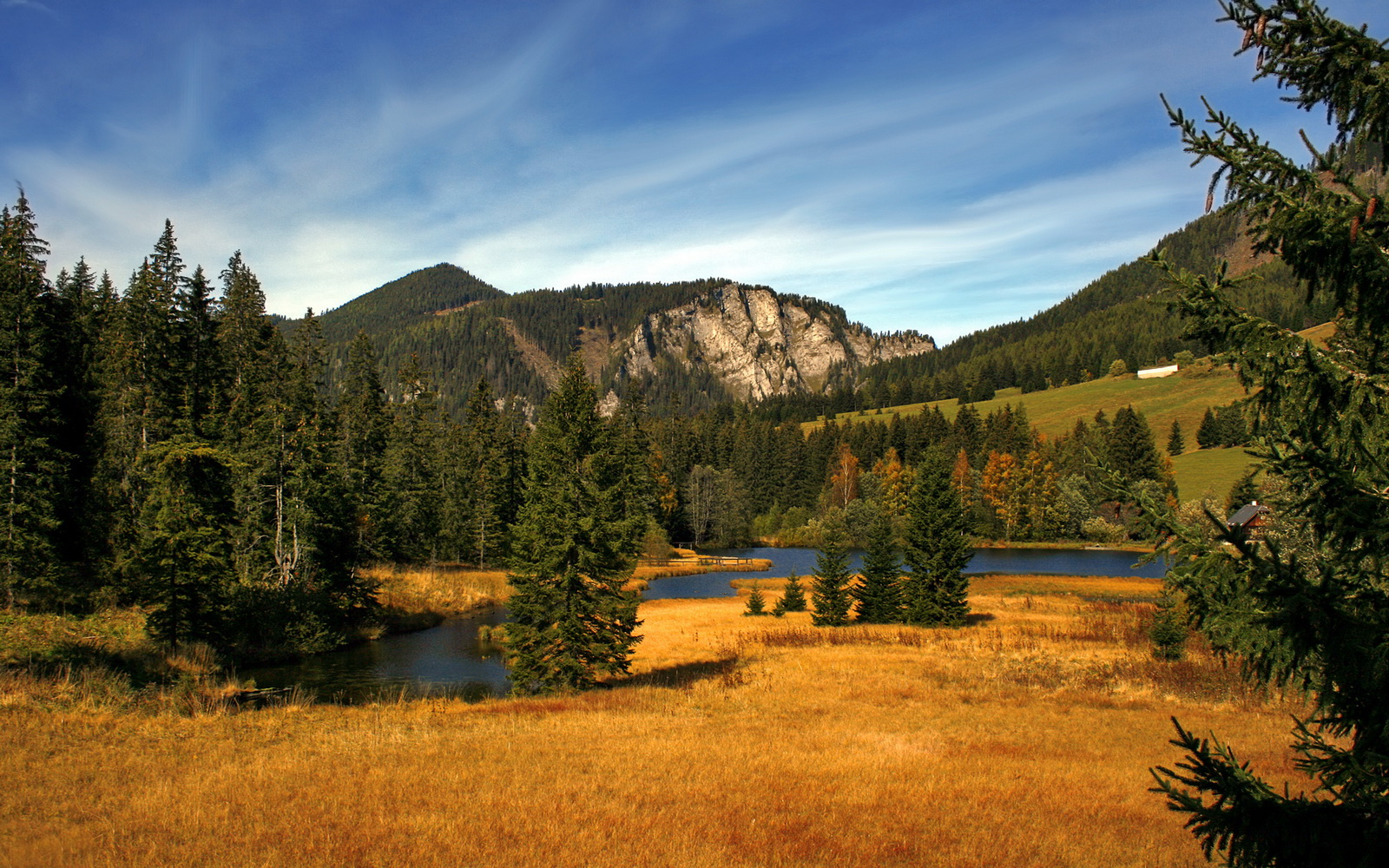 开云体育APP下载-凯尔特人无解碾压的背后，是魔术新王的璀璨与绿军王朝密码