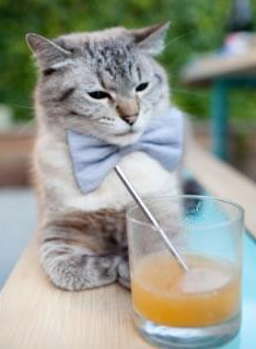 虚拟与现实交错，文班亚马梦幻爆发，步行者跨洲斩落新疆队