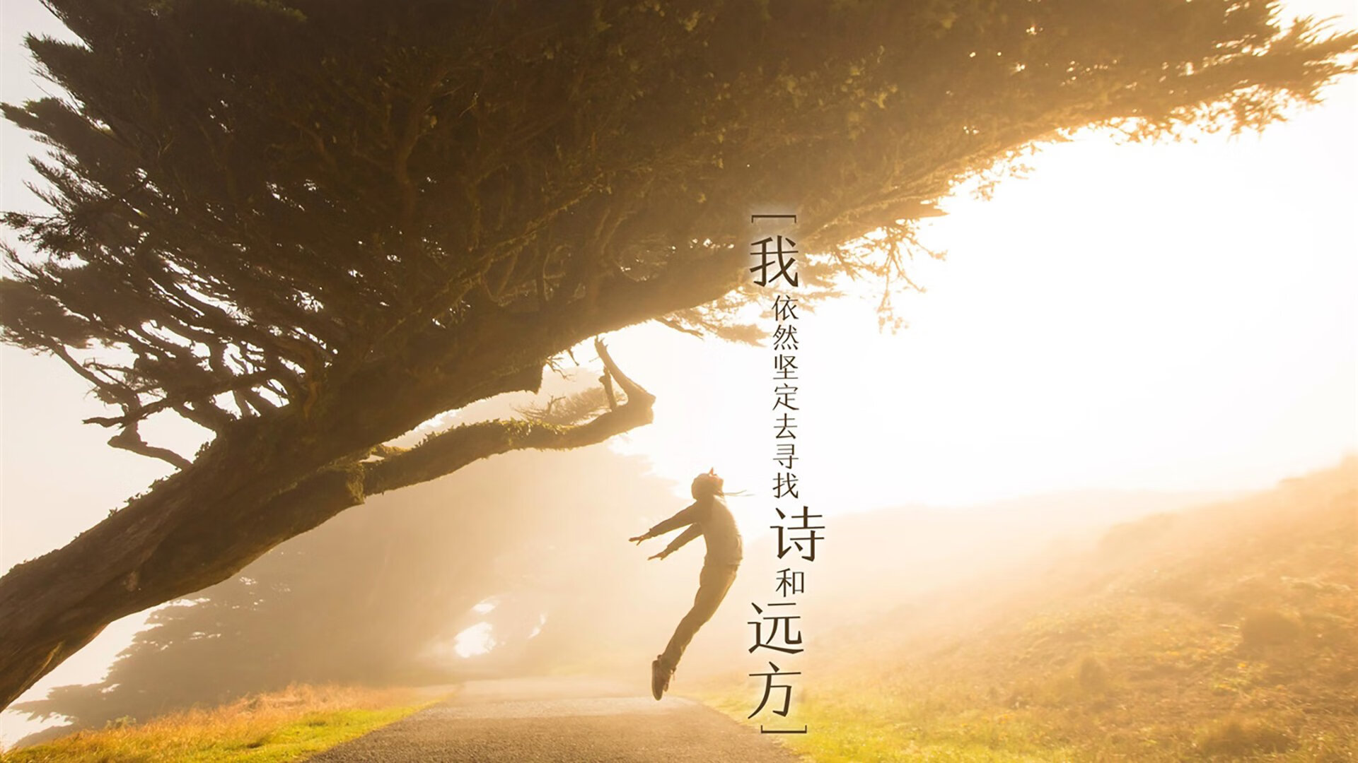 当利物浦红遇见塞内加尔节奏，阿拉巴如何点燃第三种火焰