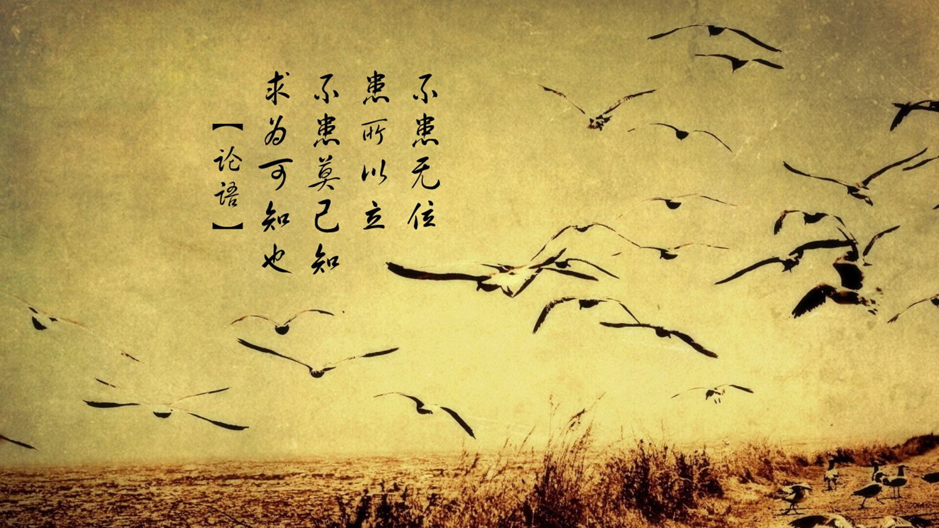 三秒的永恒，2026世界杯G组，挪威的压制、印度之殇与姆巴佩的致命一击