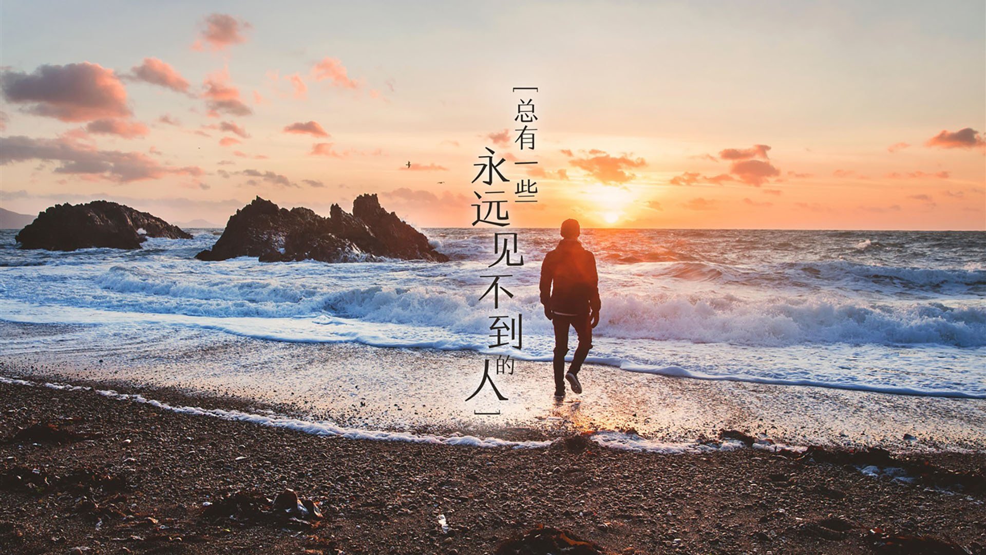 致命弧线,当非洲雄狮的怒吼撕裂东瀛武士的残梦—2026世界杯C组冷门夜,苏亚雷斯的最后一舞