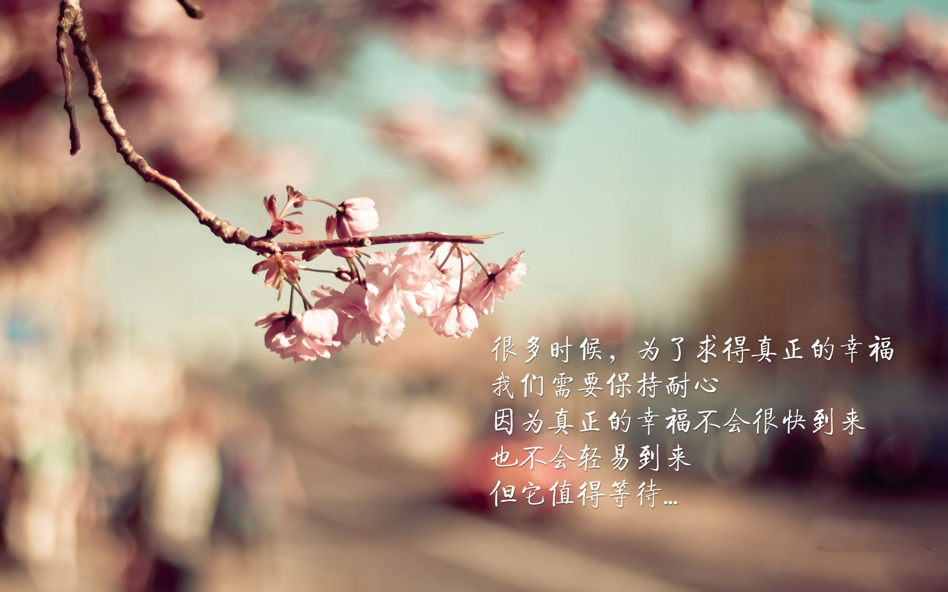 开云体育登录-沙漠之狮的绝响，阿诺德一剑封喉，摩洛哥在2026生死战中碾碎伊朗