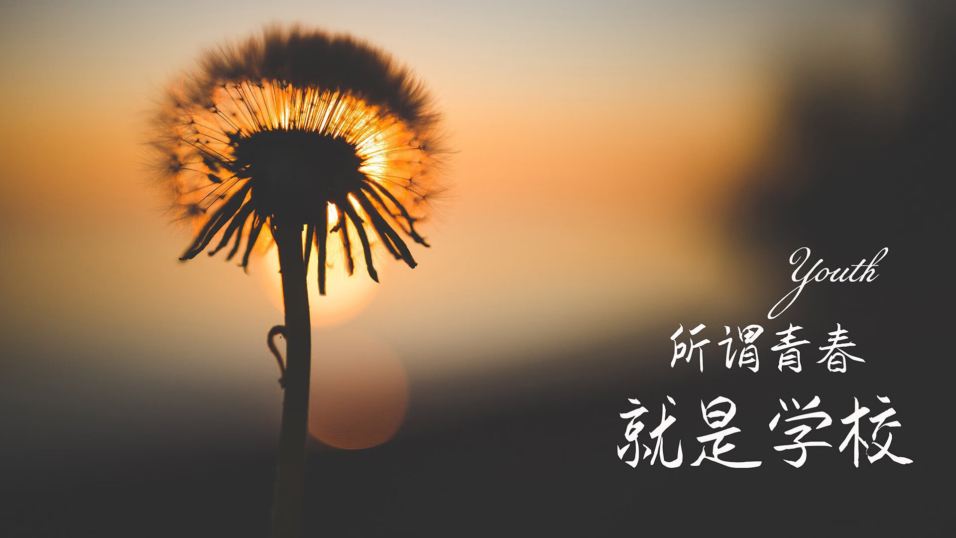 节奏之王，当齐耶赫的秒表碾过星条旗—2026世界杯历史重演中的唯一性解码